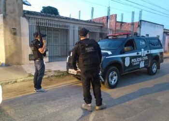 Operação Cavalo de Troia: Polícia Civil desarticula grupo criminoso responsável por furto de animais no interior de SE