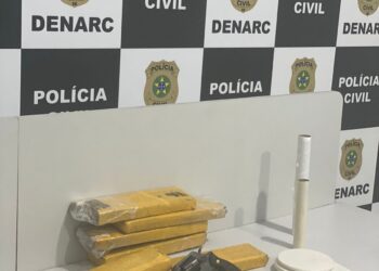 Denarc apreende revólver durante tentativa de cumprir mandado de prisão na Grande Aracaju