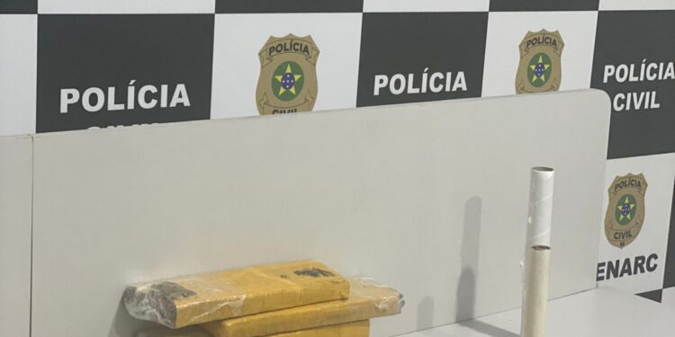 Denarc apreende revólver durante tentativa de cumprir mandado de prisão na Grande Aracaju