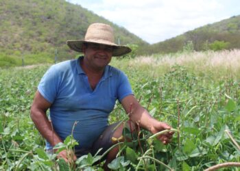 Garantia-Safra 2021/2022: agricultores familiares já podem aderir ao programa