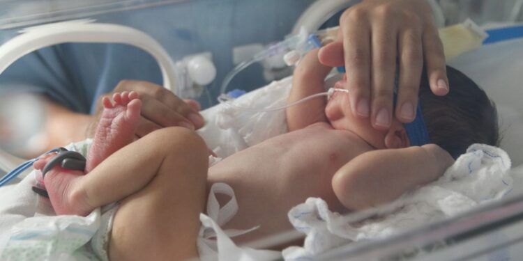 Aliança Nacional busca reduzir mortalidade materna e neonatal