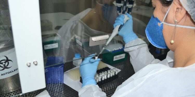 Sergipe não registra mortes por Covid-19 nas últimas 48 horas