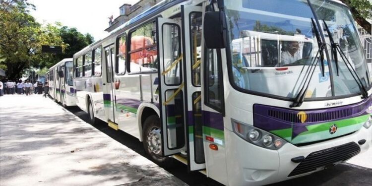 Setransp desmente informação sobre paralisação no transporte coletivo