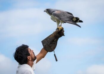 Parque dos Falcões, em Itabaiana, é destino certo de passeios turísticos em SE