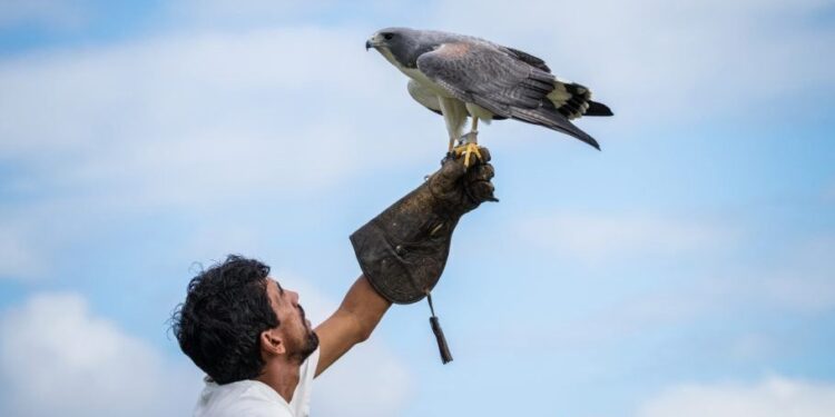 Parque dos Falcões, em Itabaiana, é destino certo de passeios turísticos em SE