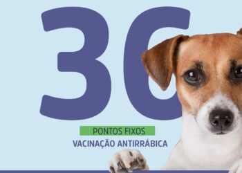Aracaju seguirá com Campanha Antirrábica em pontos fixos no sábado, 30