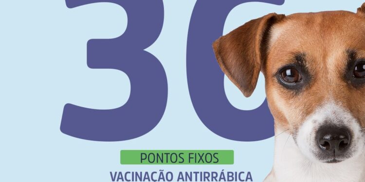 Aracaju seguirá com Campanha Antirrábica em pontos fixos no sábado, 30