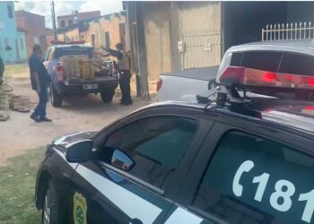 Ação conjunta entre PC, PM e Ibama apreende 59 pássaros silvestres em Aracaju