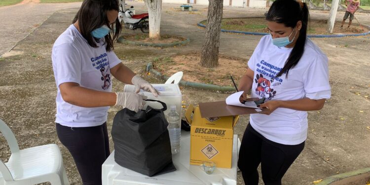 Prefeitura de Lagarto inicia Campanha de Vacinação Antirrábica