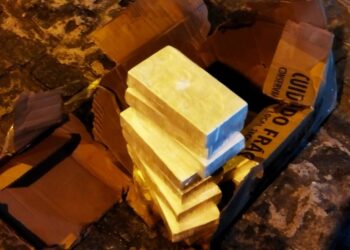 Polícia Federal apreende 11kg de cocaína