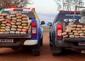 Polícia Militar apreende mais de 142 kg de maconha no Alto Sertão sergipano