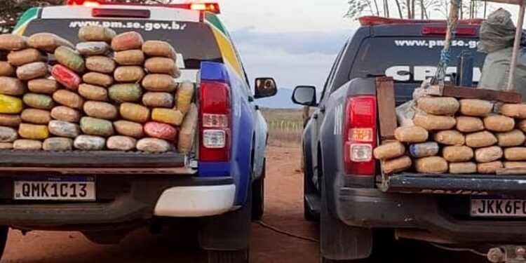 Polícia Militar apreende mais de 142 kg de maconha no Alto Sertão sergipano