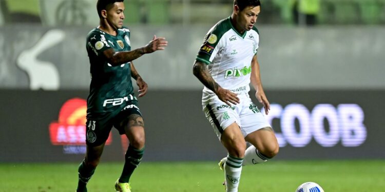 Palmeiras perde para América-MG e cai para terceiro no Brasileiro