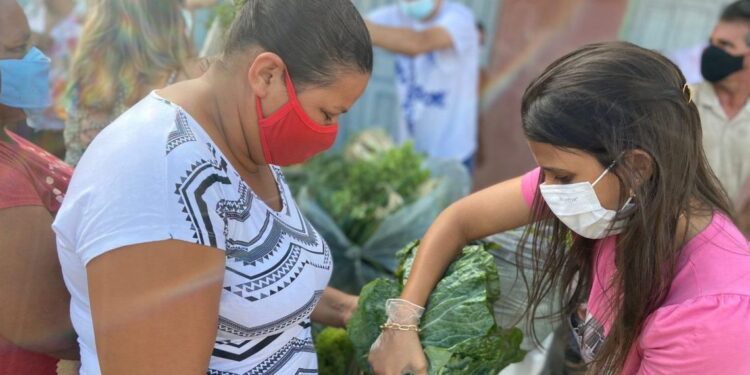Salgado realiza entrega do Programa de Aquisição de Alimentos