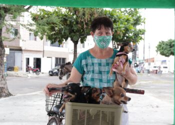 Prefeitura de Socorro vacina mais de 11 mil animais no dia D de vacinação da Campanha Antirrábica