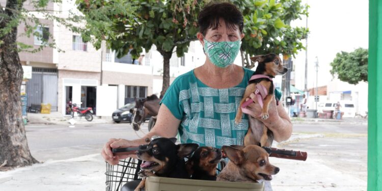 Prefeitura de Socorro vacina mais de 11 mil animais no dia D de vacinação da Campanha Antirrábica