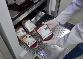 Hemose: Funcionamento do serviço de doação de sangue no feriadão do Servidor Público e Finados