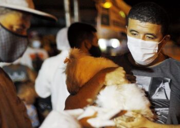 Saúde divulga balanço parcial da Campanha Nacional de Vacinação Antirrábica