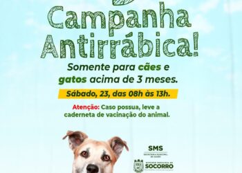 Dia D da Campanha Antirrábica acontece nesse sábado, 23, em Socorro
