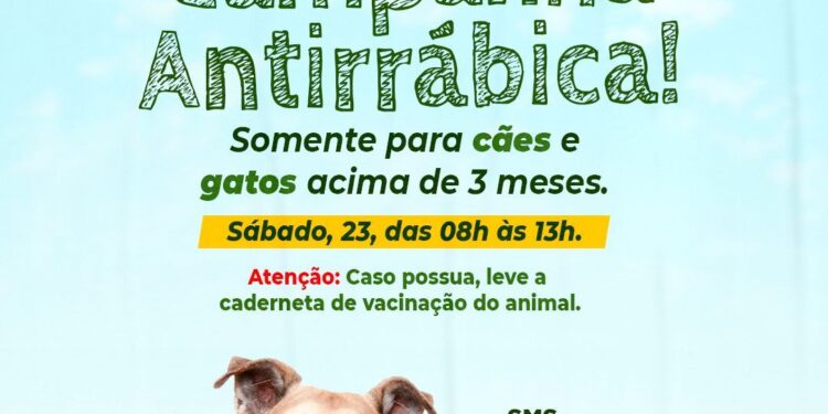 Dia D da Campanha Antirrábica acontece nesse sábado, 23, em Socorro