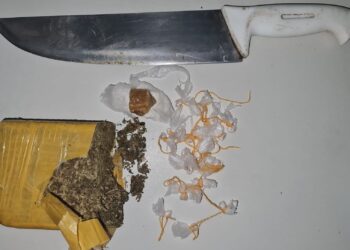 Polícia Civil prende em flagrante suspeita de tráfico de drogas em Propriá
