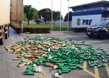 PRF apreende mais de uma tonelada de drogas em Umbaúba