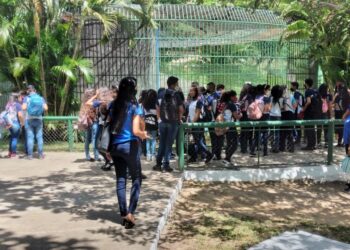 Zoológico de Aracaju estará aberto no Dia das Crianças
