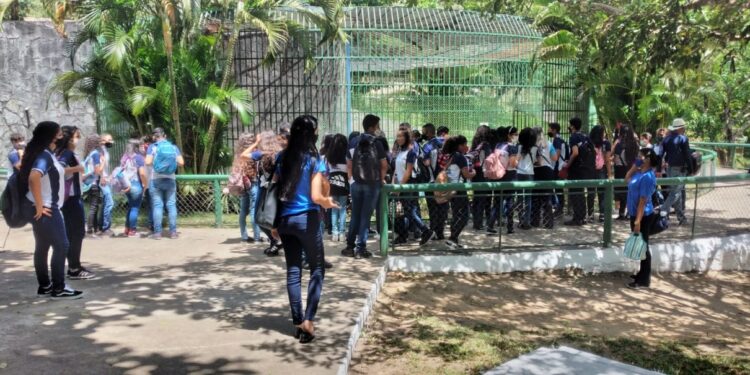 Zoológico de Aracaju estará aberto no Dia das Crianças