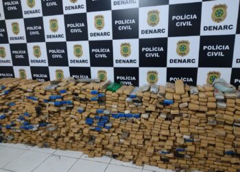 Denarc apreende 1,1 tonelada de maconha em Aracaju