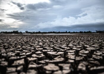 Crise hídrica: “Chegamos a um ponto drástico para todo o meio ambiente”, diz especialista