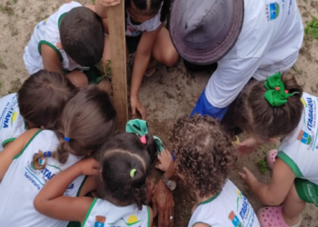 Itabaiana Mais Verde: Secretaria do Meio Ambiente realiza plantios em homenagem à Semana da Criança
