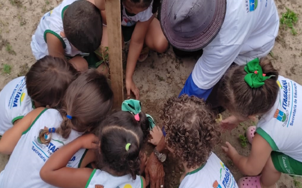 Itabaiana Mais Verde: Secretaria do Meio Ambiente realiza plantios em homenagem à Semana da Criança