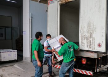 Sergipe recebe mais de nove mil doses de vacina Pfizer nesta sexta-feira, 29