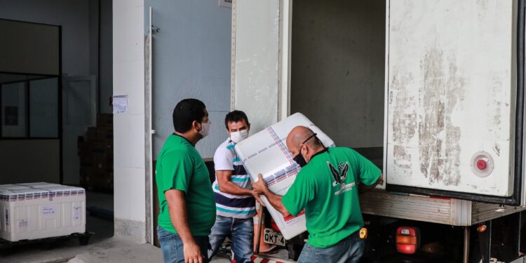 Sergipe recebe mais de nove mil doses de vacina Pfizer nesta sexta-feira, 29