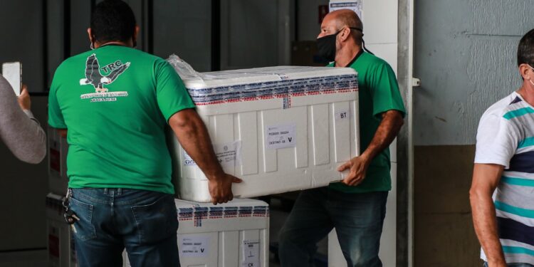 Estado recebe mais de 33 mil doses de vacinas da Pfizer, nesta quinta-feira