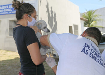 Aracaju inicia nova etapa da vacinação antirrábica a partir desta segunda, 25