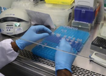 Sergipe registra sete novos casos de Covid-19 e um óbito