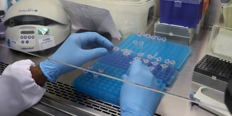 Sergipe registra sete novos casos de Covid-19 e um óbito