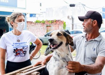 Prefeitura de Lagarto encerra Campanha de Vacinação Antirrábica com mais de 8.600 animais vacinados