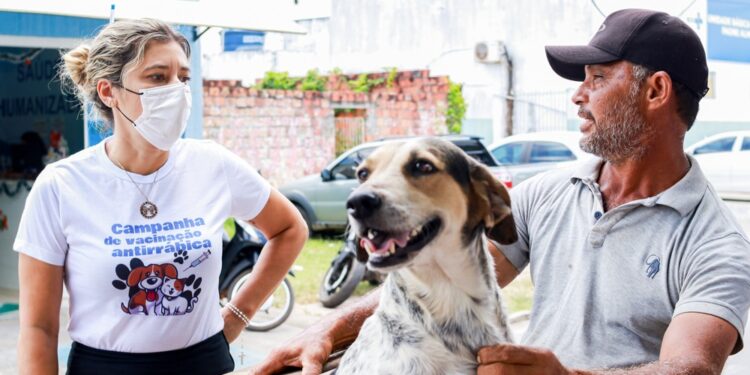Prefeitura de Lagarto encerra Campanha de Vacinação Antirrábica com mais de 8.600 animais vacinados