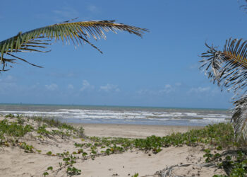 Calor e céu claro predominam no decorrer da semana