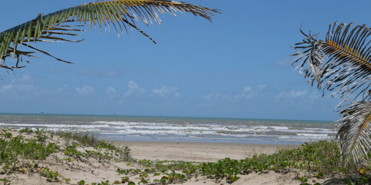 Calor e céu claro predominam no decorrer da semana