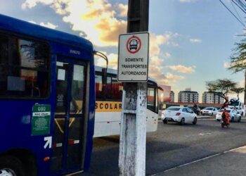 Transporte coletivo: benefício para meio ambiente e mobilidade urbana