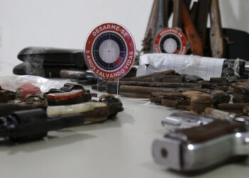 Em 2021, Desarme-SE já recolheu cerca de 100 armas entregues de forma voluntária
