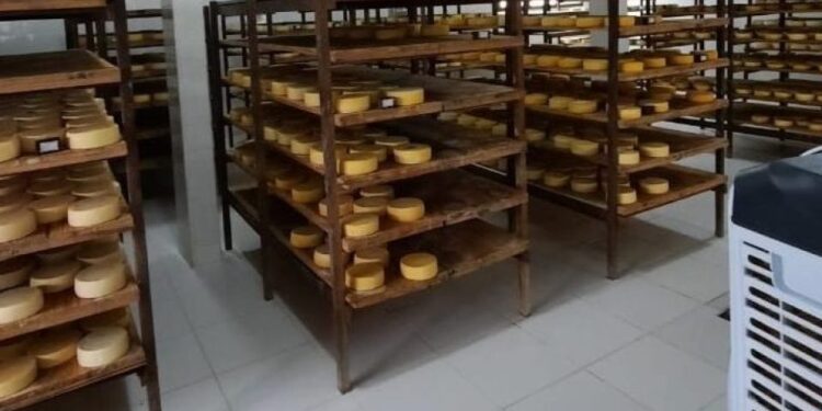 Queijeiros sergipanos participam de intercâmbio em MG