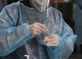 Nova variante Ômicron pode infectar mais e matar menos, dizem especialistas