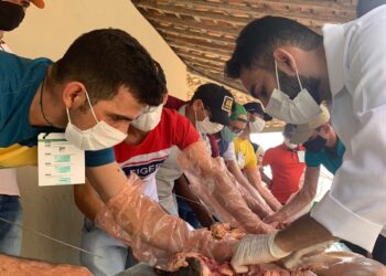 Senar Sergipe capacita produtores de leite do alto sertão na técnica de inseminação artificial