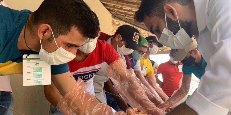 Senar Sergipe capacita produtores de leite do alto sertão na técnica de inseminação artificial