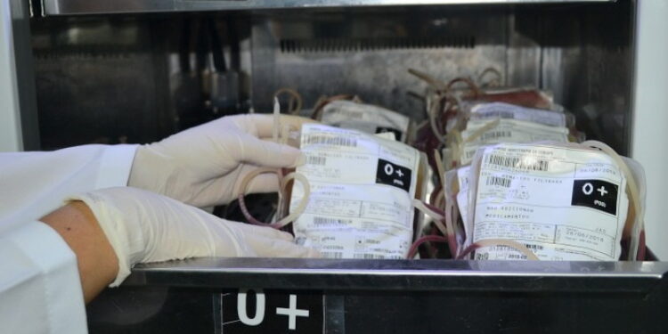 Hemose realiza o sábado solidário para doação de sangue e fecha no feriado da Proclamação da República