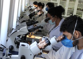 Ministério da Saúde, em parceria com o ITP, Unit e Lacen, promove capacitação de técnicos para identificação de vetores da Doença de Chagas